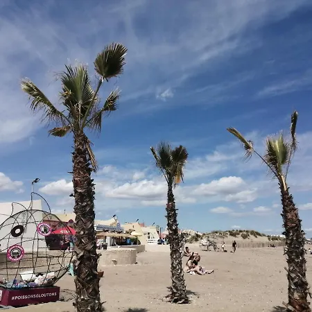 Cap D'agde Port Lano T2 Clim, Piscine, Tennis Et Parking *